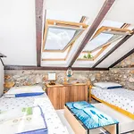 Stone House Knez Apartment *