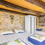 Apartment Stone House Knez *